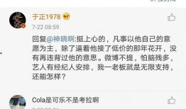 吃瓜娱乐圈软件,揭秘吃瓜软件背后的秘密